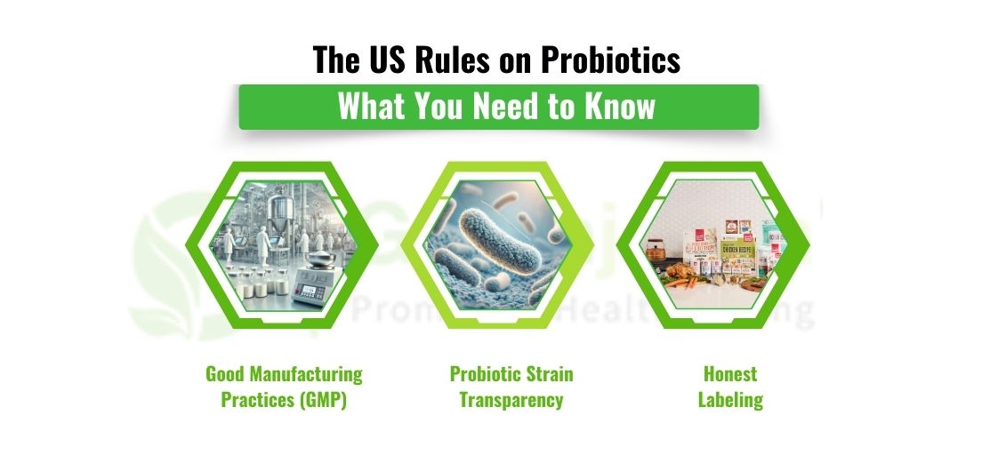 Immune-Boosting Probiotics